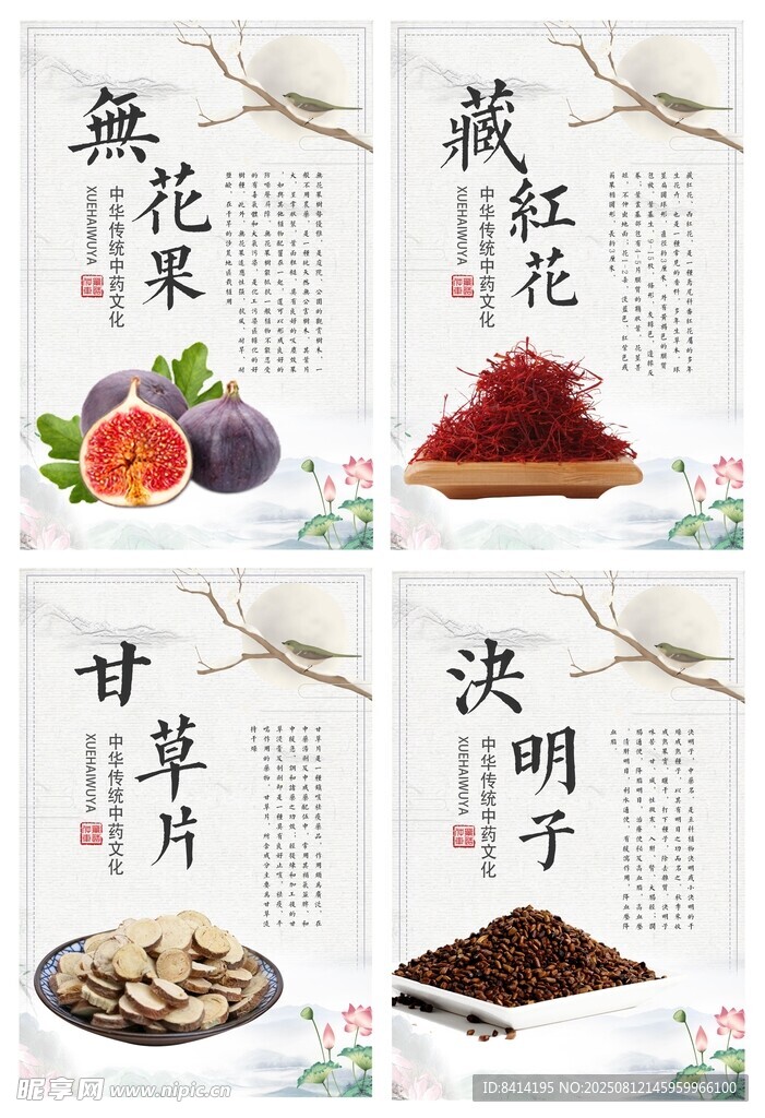 中药养生宣传海报