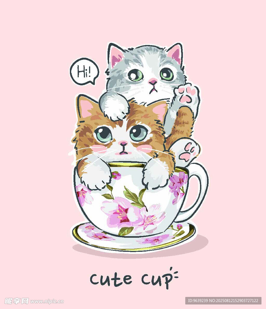 猫咪