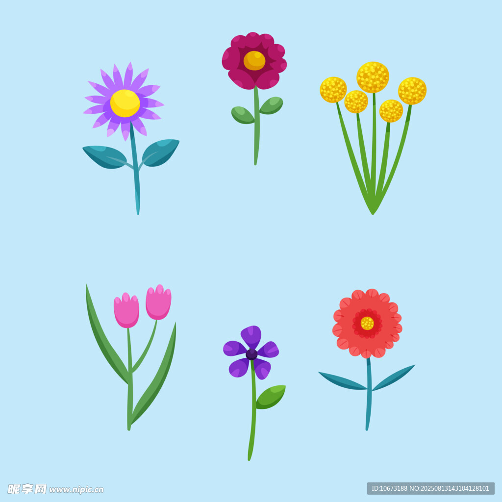 多彩花卉插画