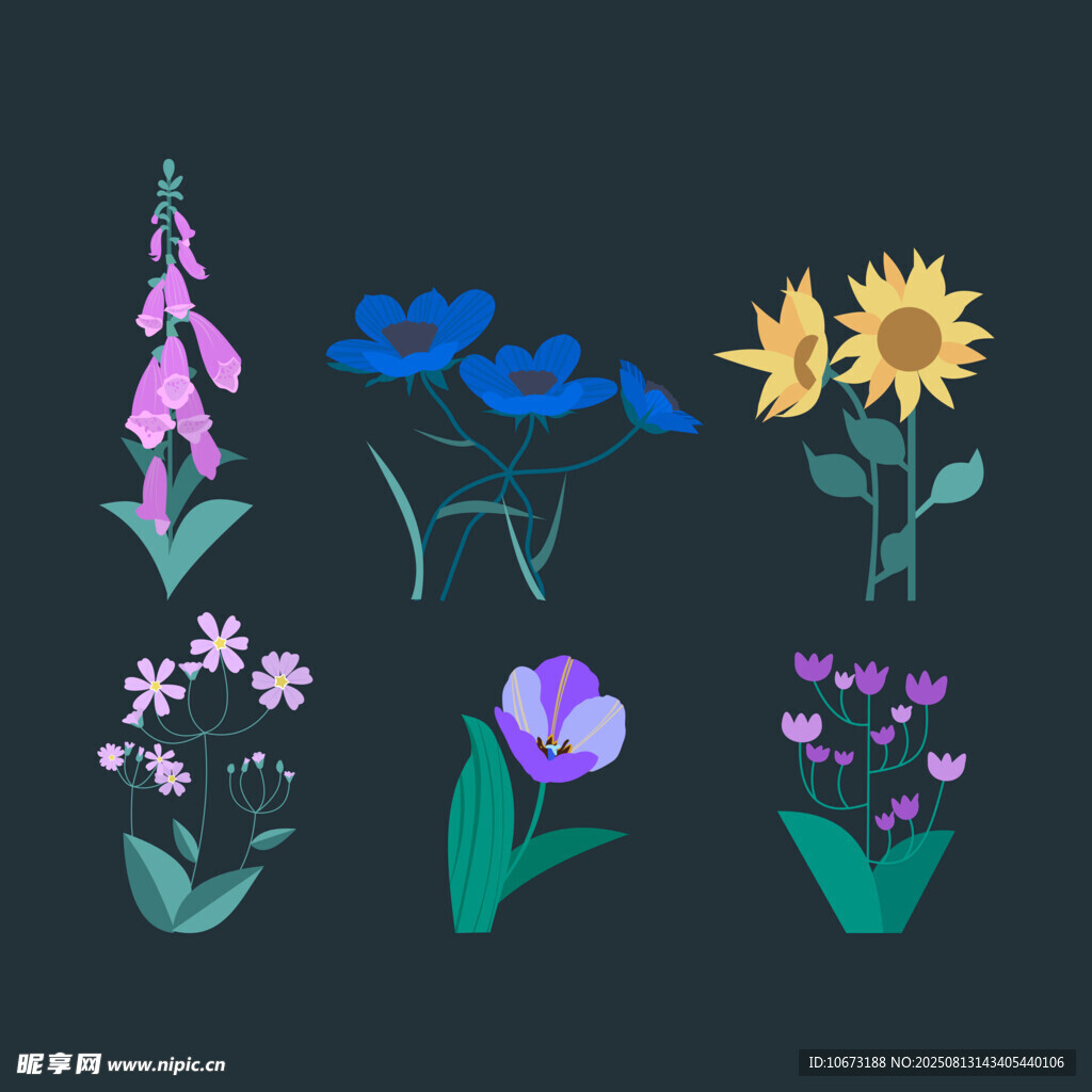 手绘多彩花卉图案集合