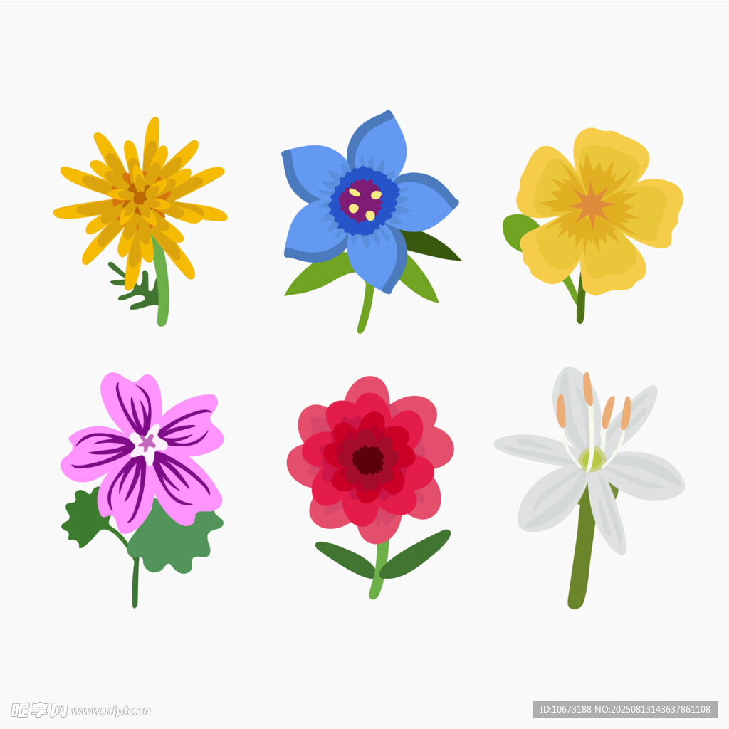 多彩花卉插画