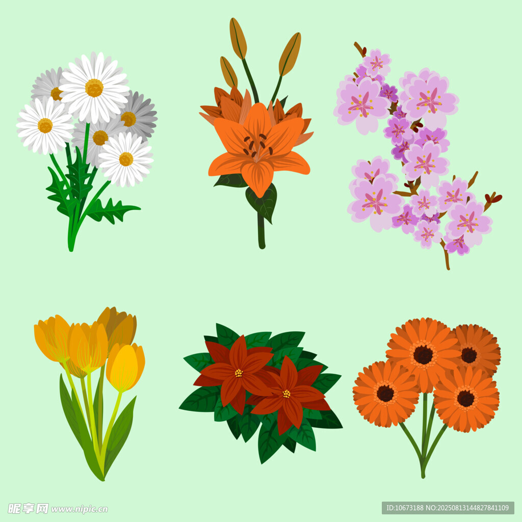 多彩花卉插画集合