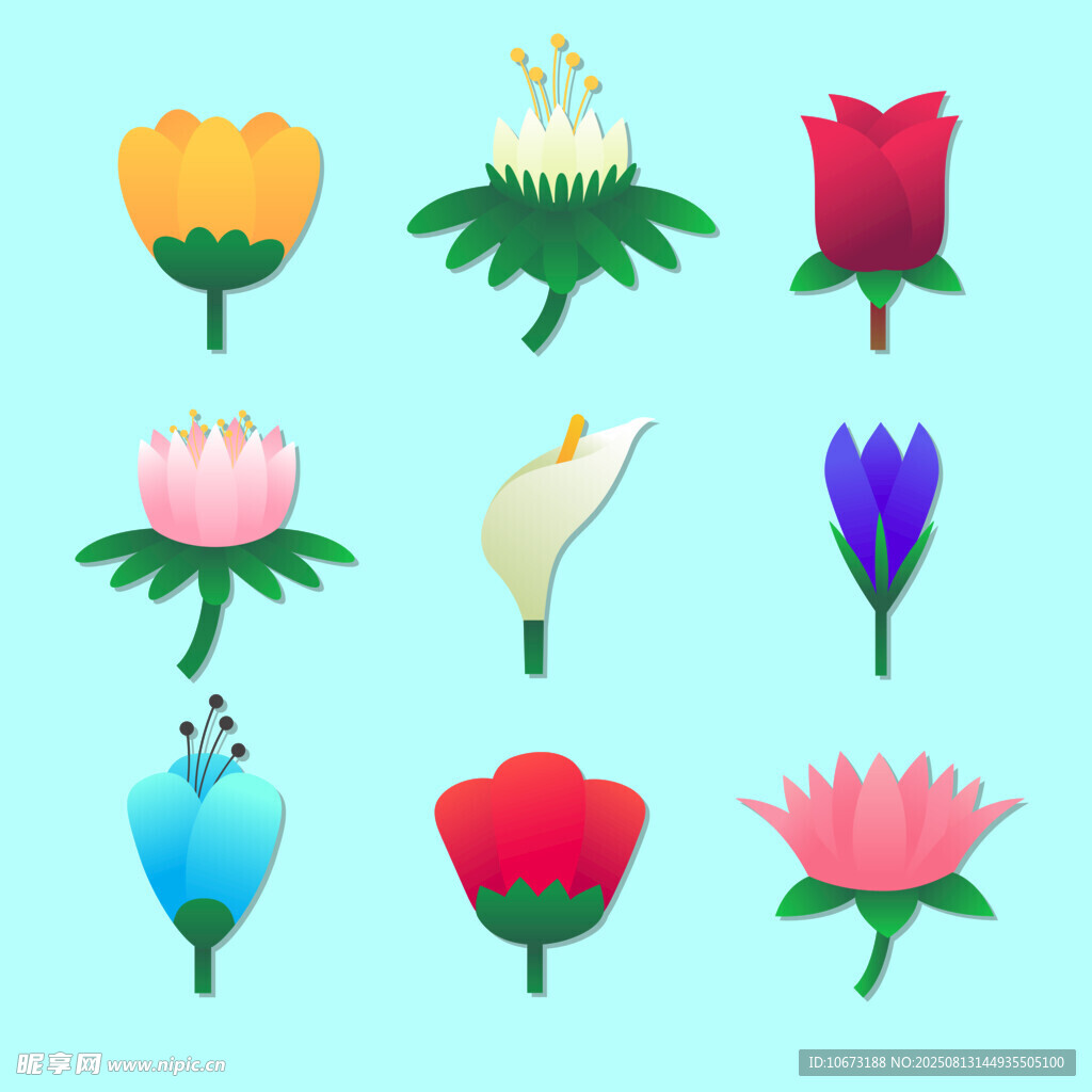 多彩花卉插画集合