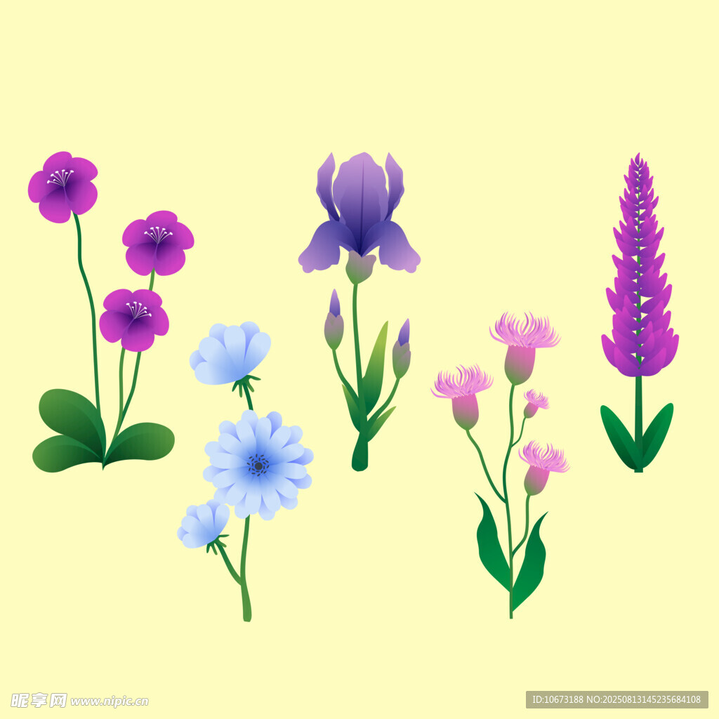 多彩花卉插画