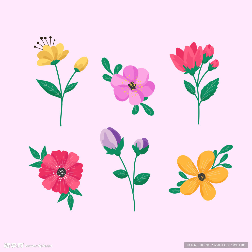 多彩手绘花卉图案集合