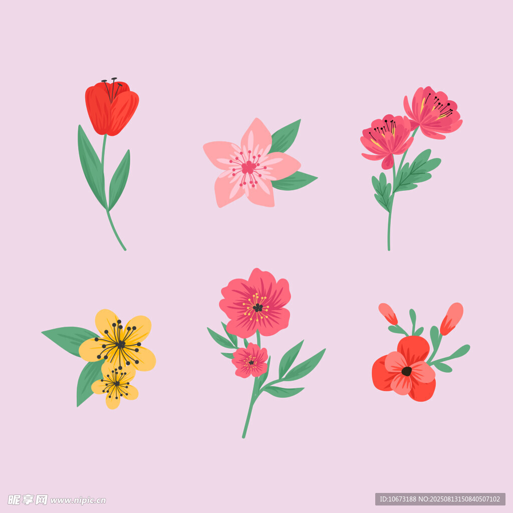 手绘多彩花卉图案集合