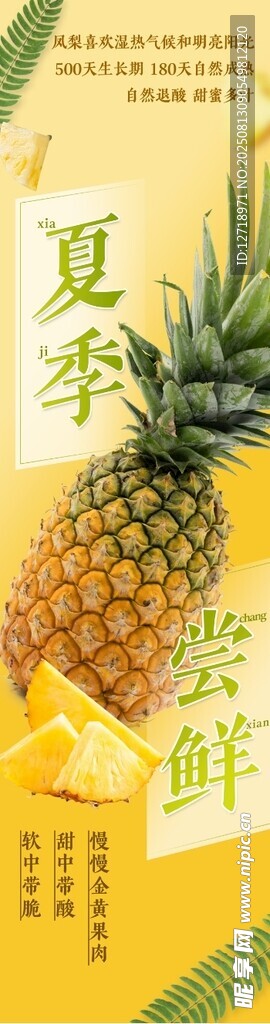 夏日清新菠萝水果素材
