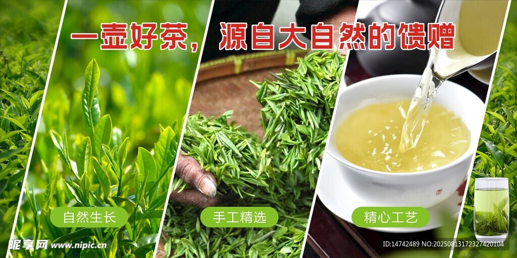 茶叶海报