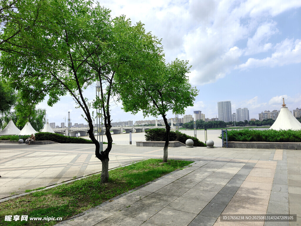 城市河畔绿树成荫的步道