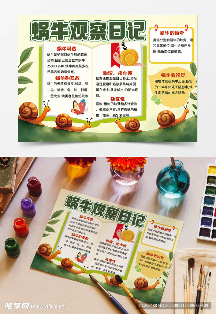 可爱卡通蜗牛观察日记手抄报