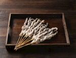 鱿鱼串