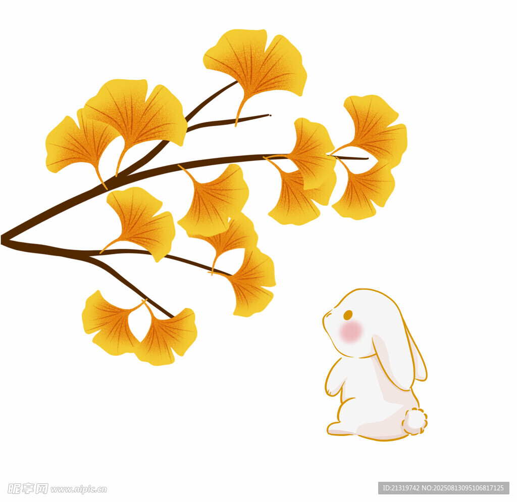 银杏叶插画