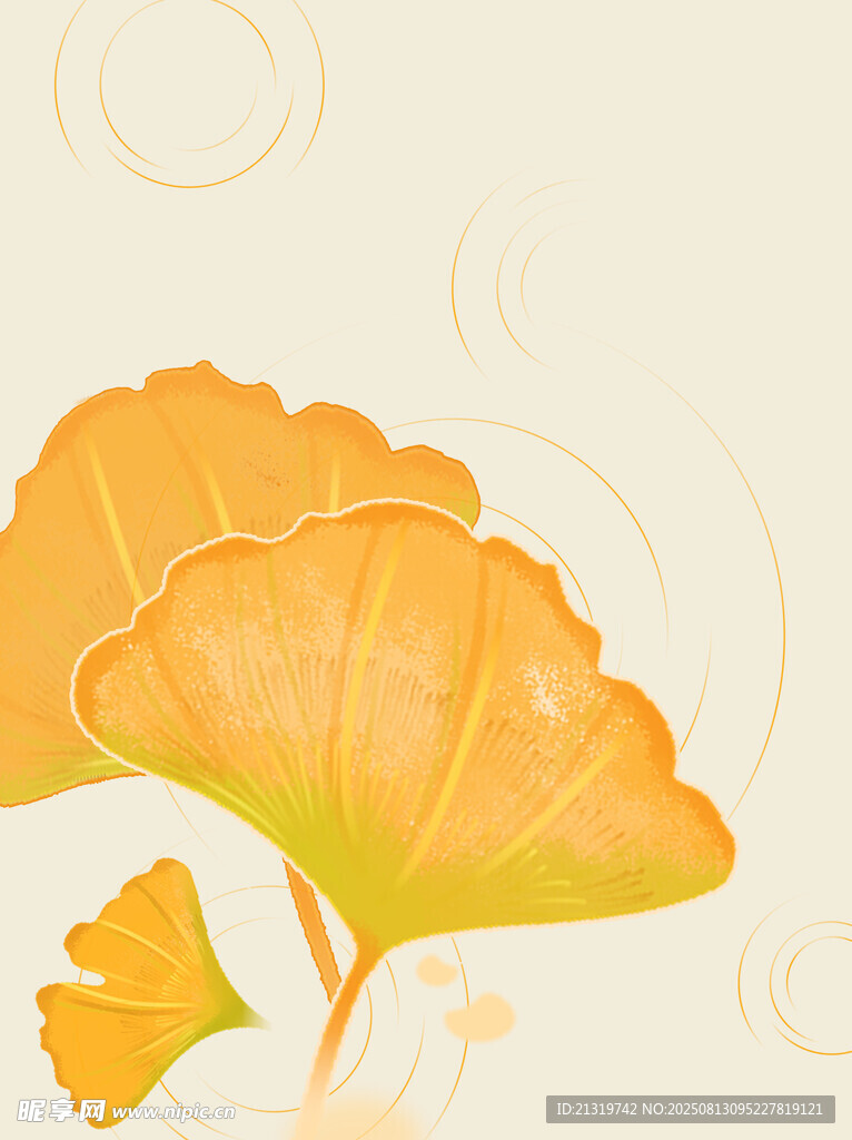 银杏叶插画