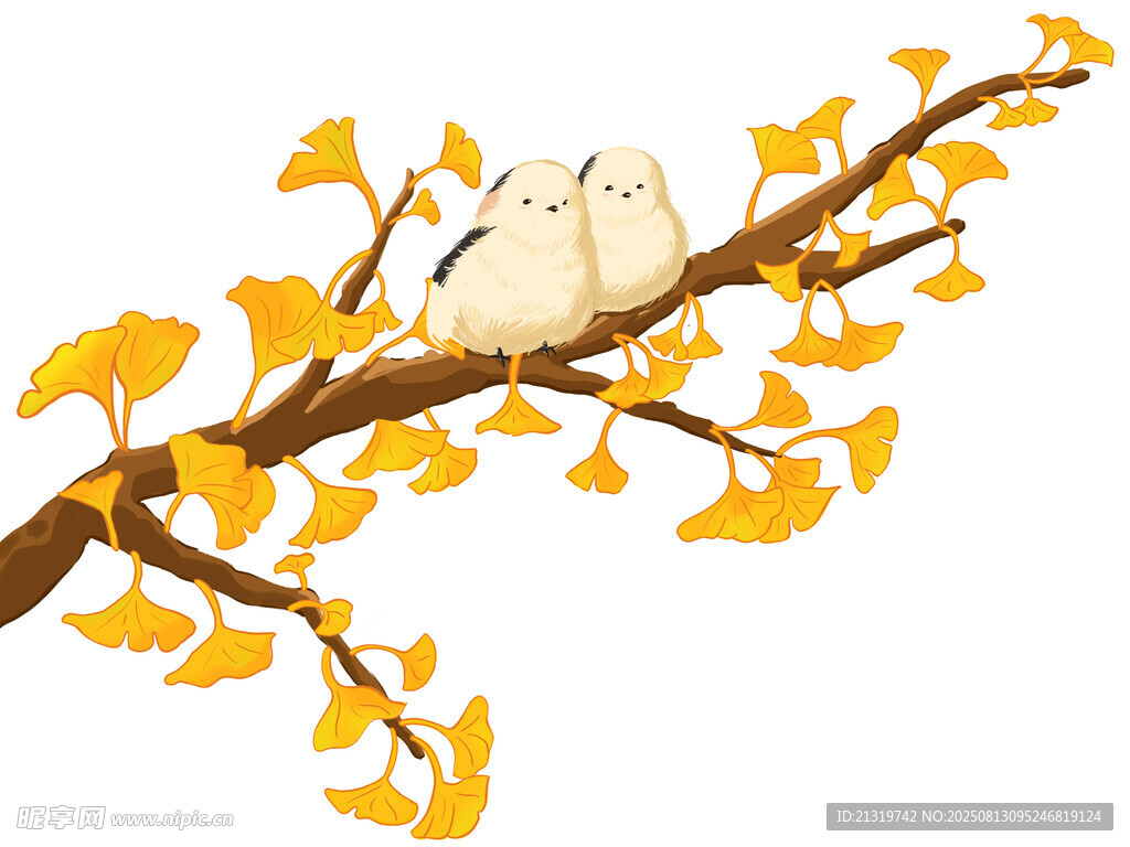 银杏叶插画