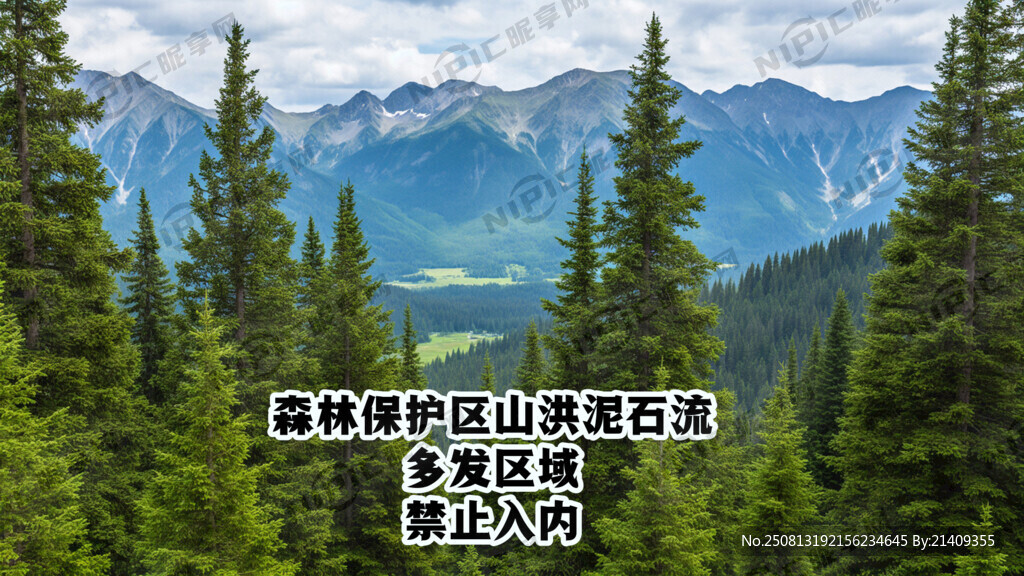 森林保护区山洪泥石流多发区域禁