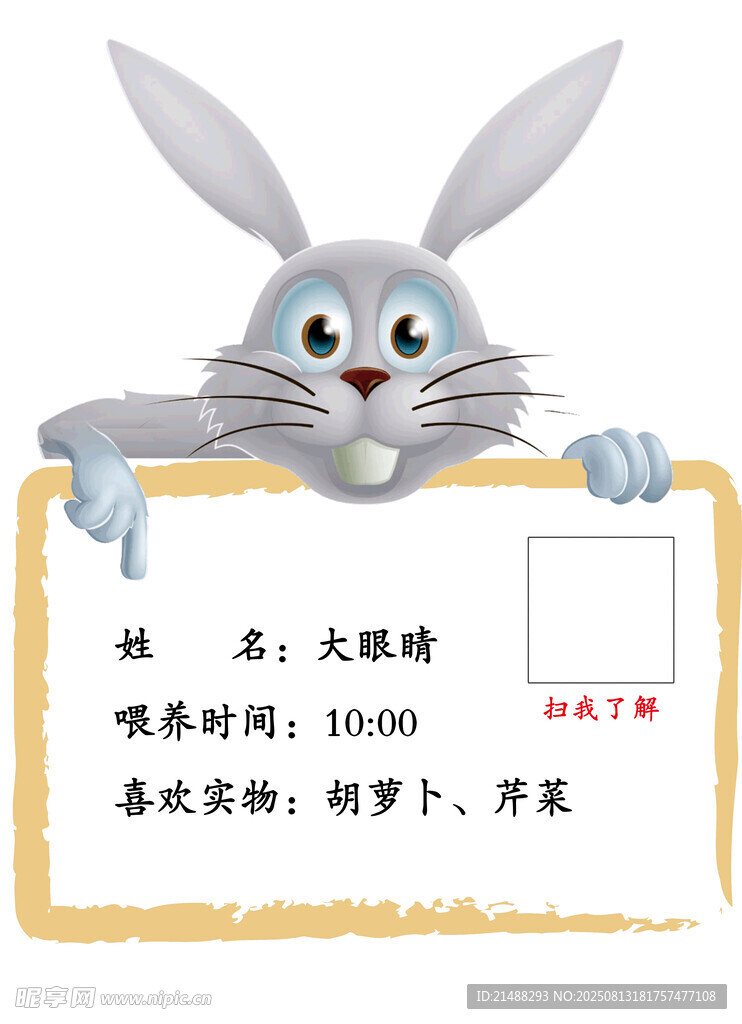兔子介绍