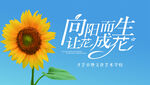 毕业墙    