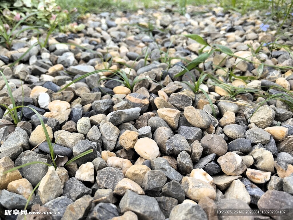 铺满碎石的地面景象