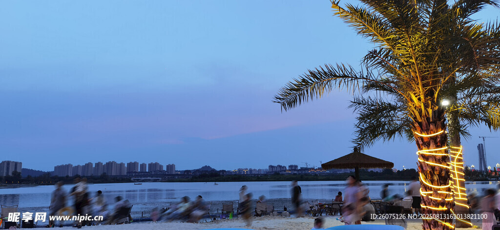 海滨黄昏美景棕榈树相伴