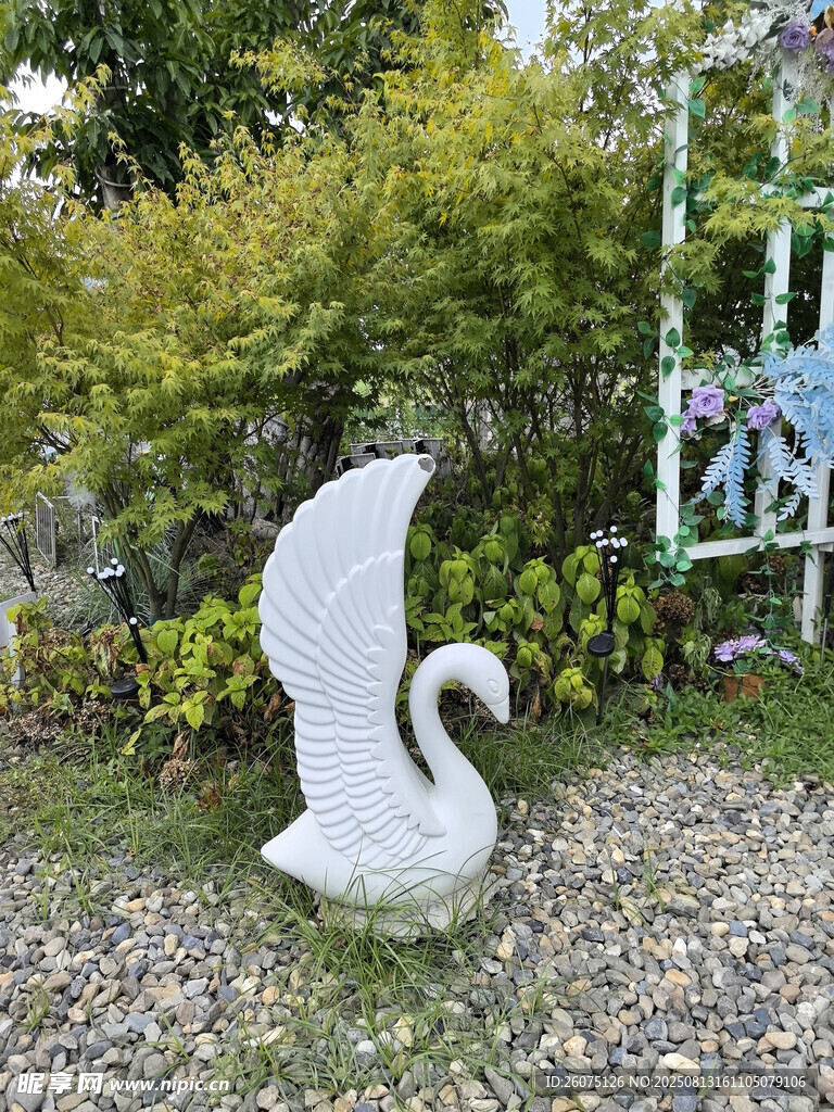 花园中的白色天鹅雕塑