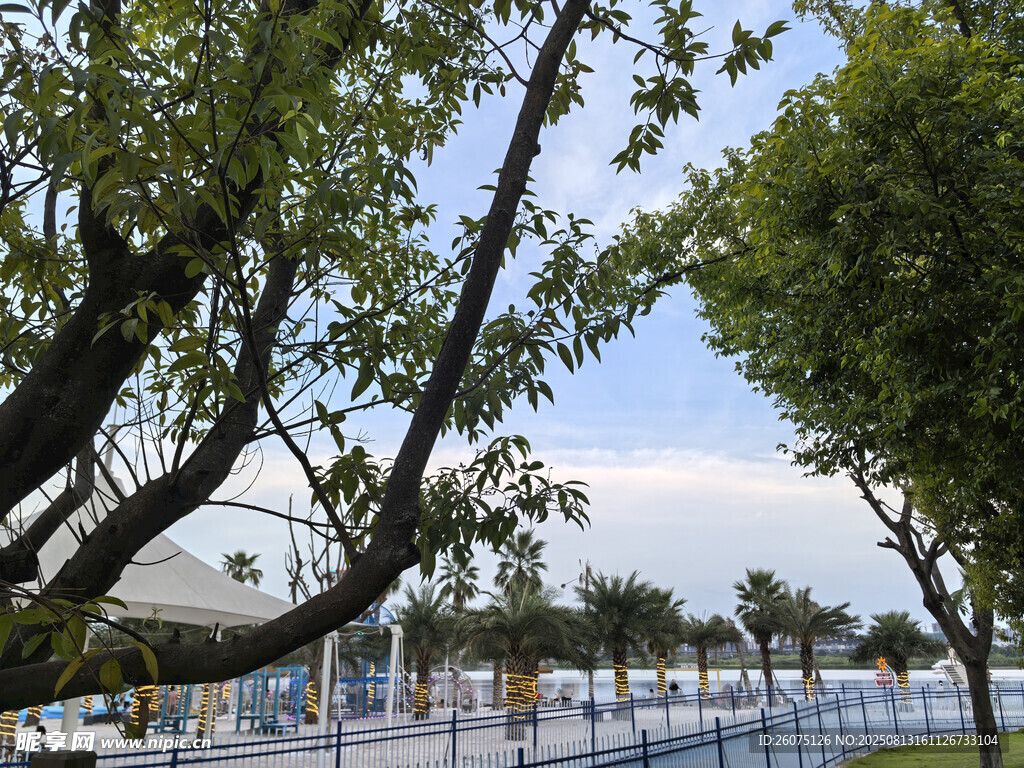 公园湖畔绿树成荫美景