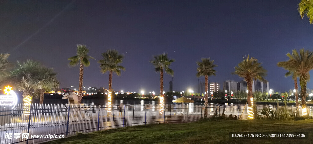 夜晚海滨景观