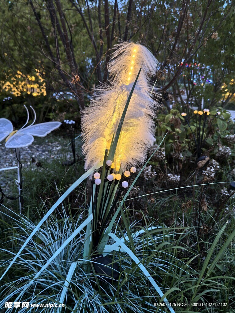 发光羽毛装饰独特景观