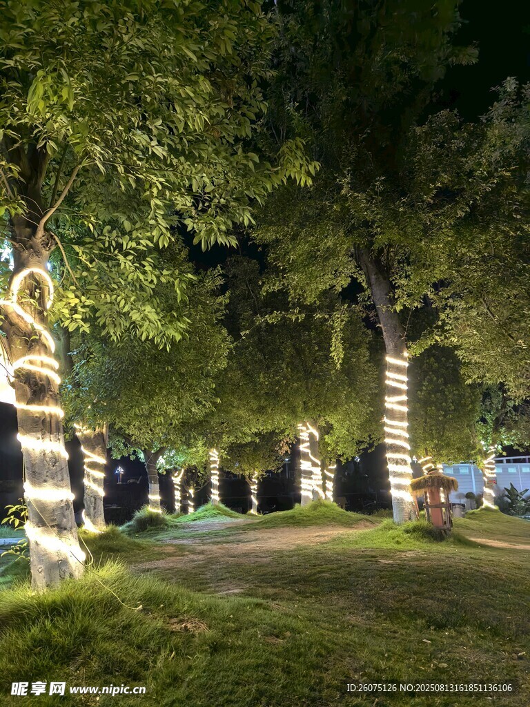 夜晚林间灯光秀景观