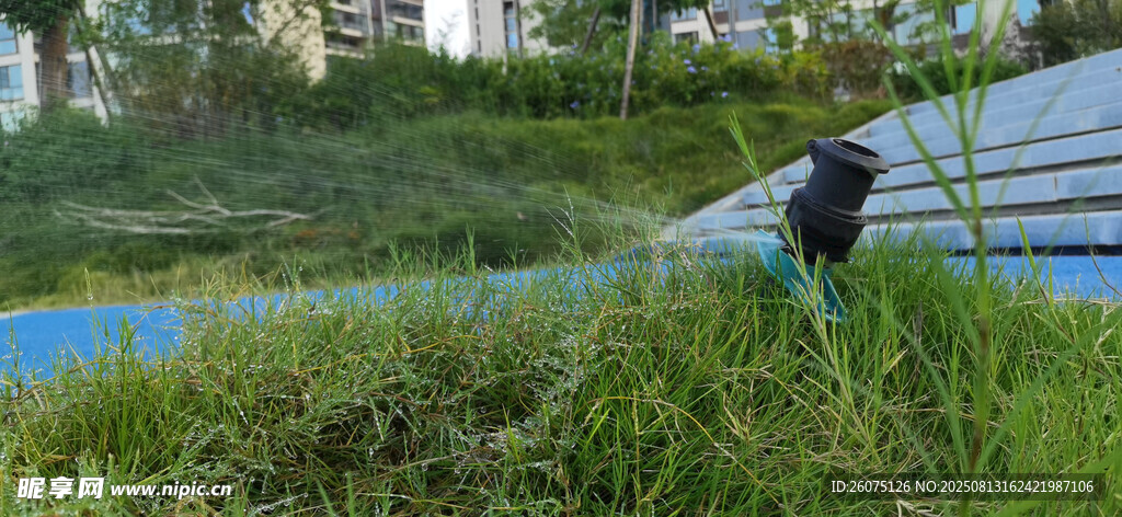 户外草地边喷水的黑色浇灌设施