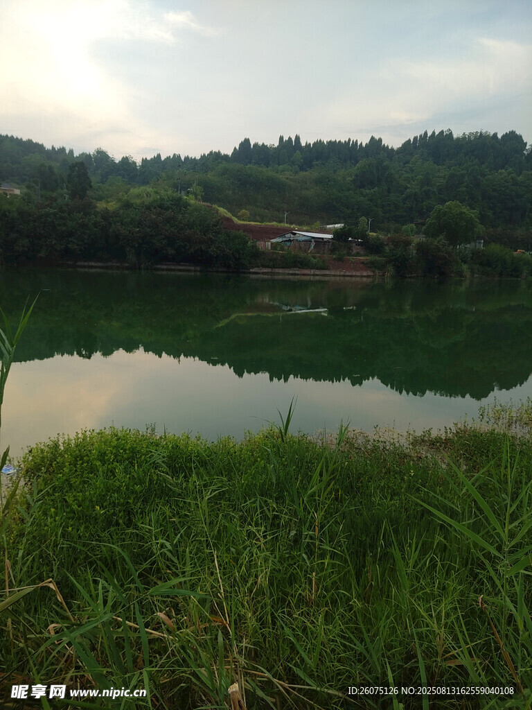 湖畔绿野风光