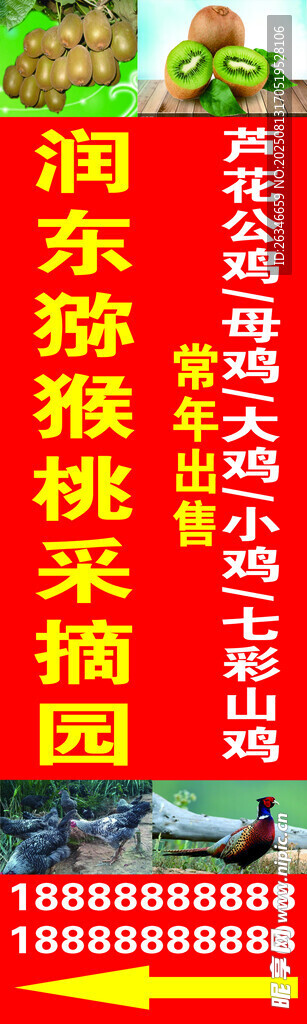 山东潍坊樱桃采摘园