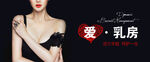 胸部海报 爱乳房