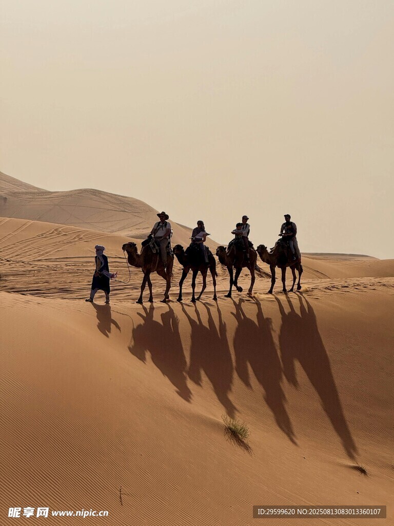 沙漠驼队行进的壮丽景象