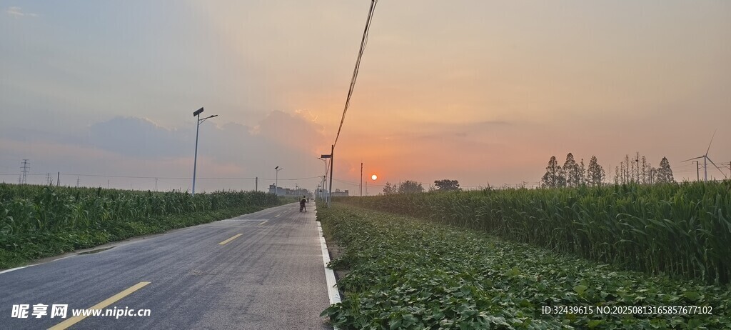 夕阳下路田园风光美