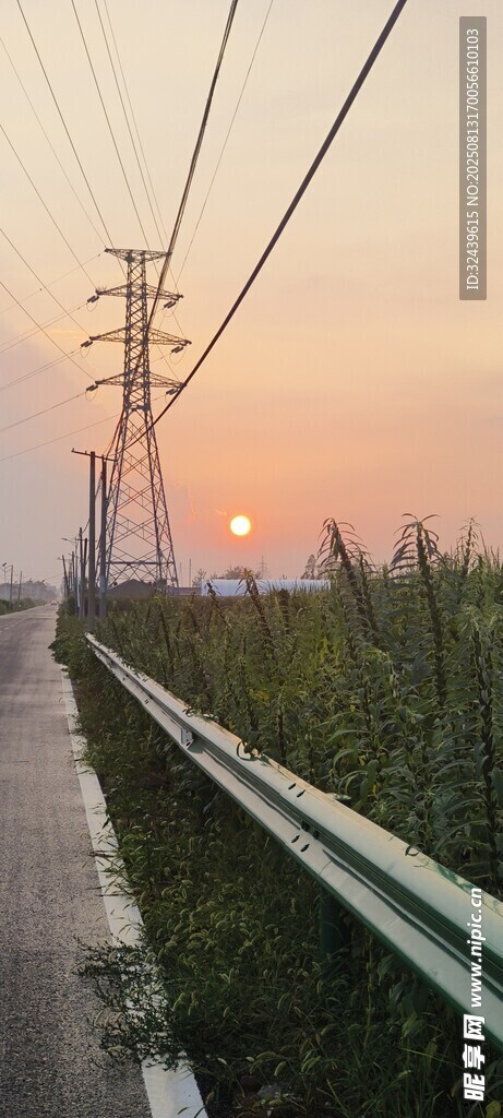 黄昏下的电线与路旁绿植