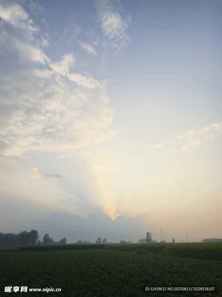 田野晨光美景