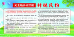 村规民约