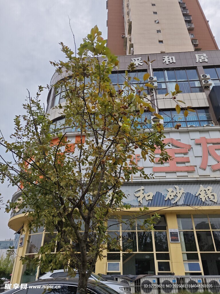 城市街边的多彩商业建筑