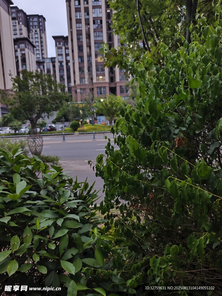 城市绿植景观一角