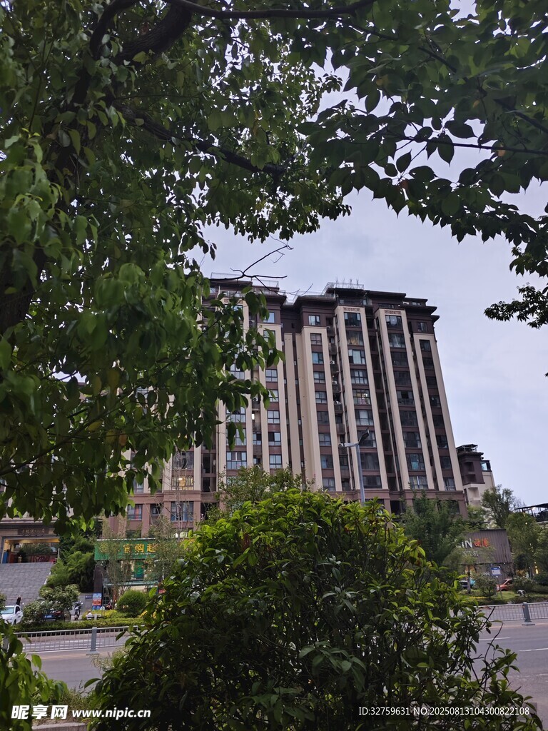 绿树掩映下的宏伟建筑