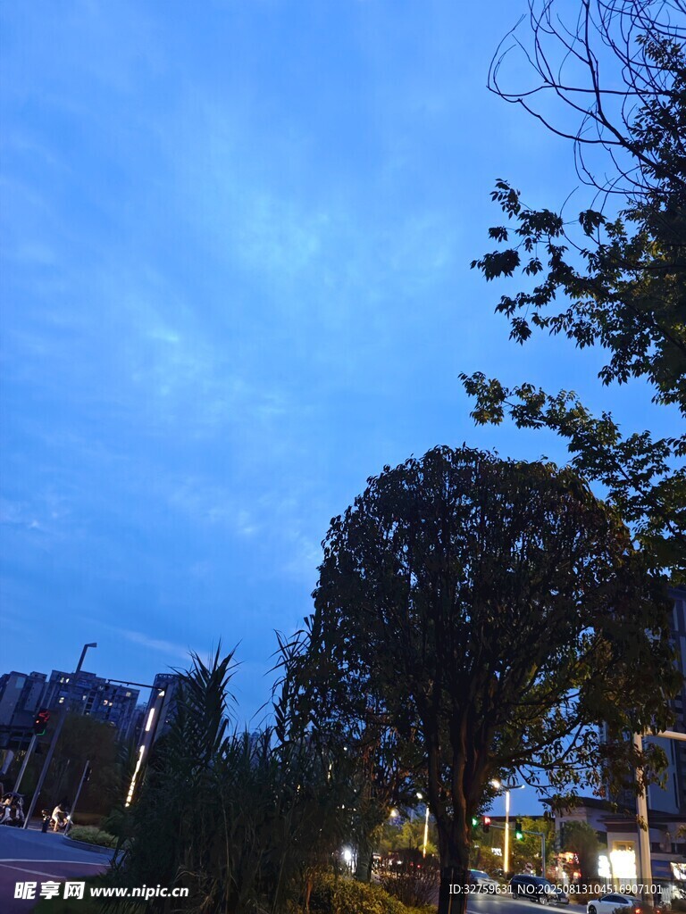 夜幕下的城市街道景观