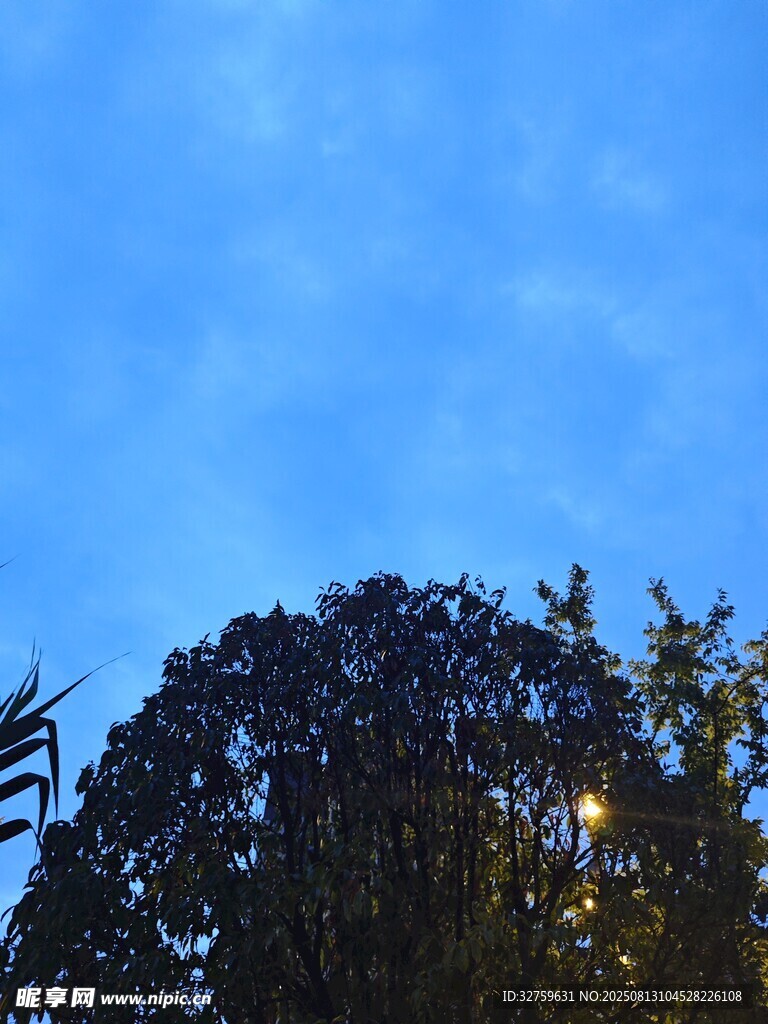 蓝天绿树间的光影景致