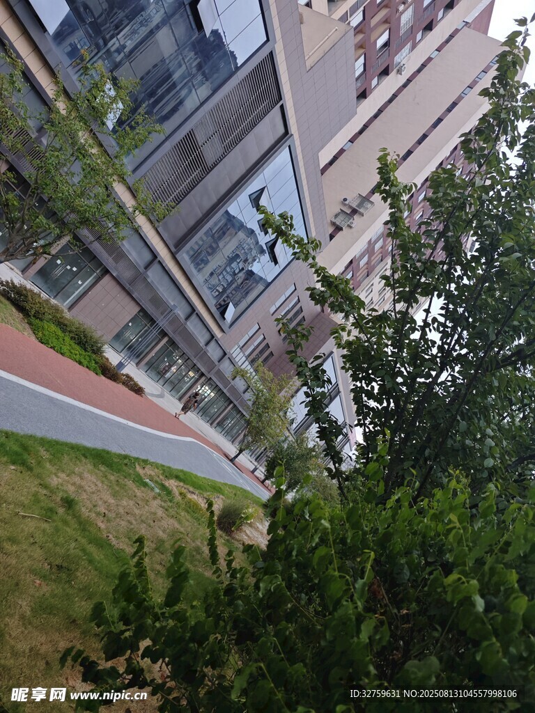 现代建筑旁的绿植景观