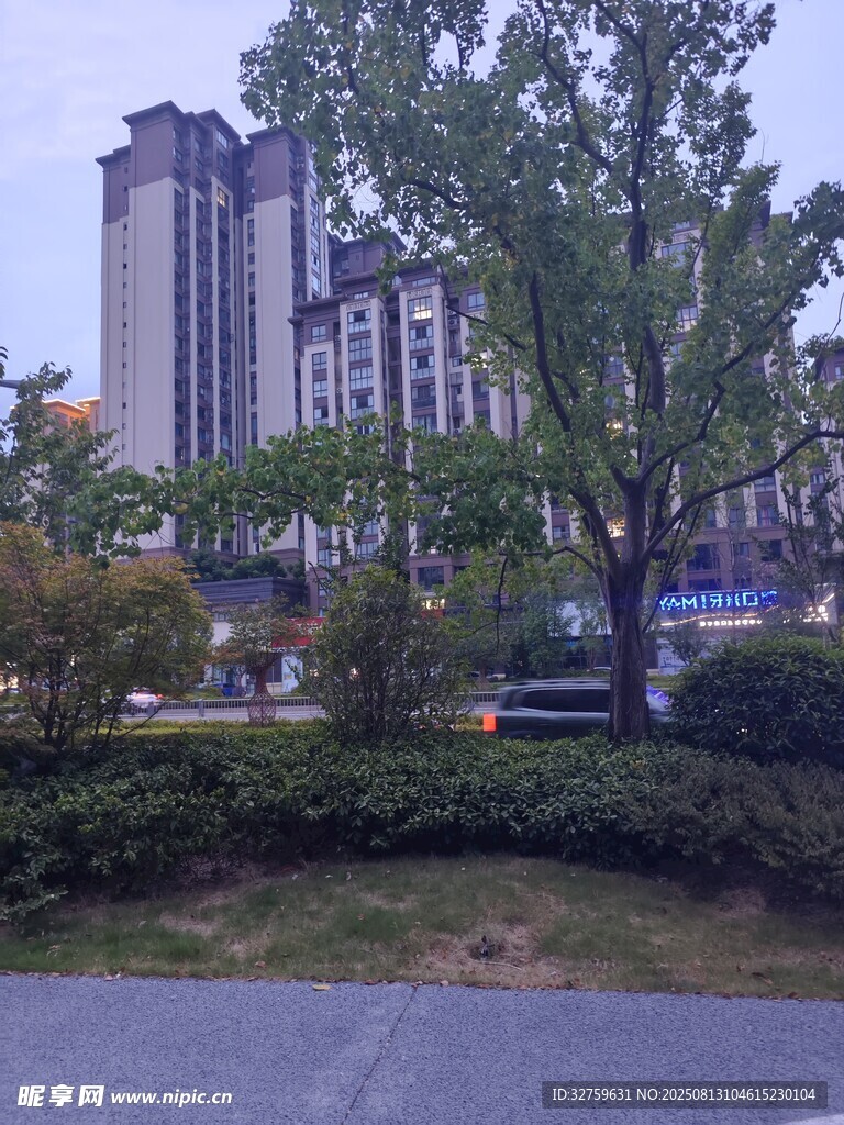 城市街道旁的高楼与绿植