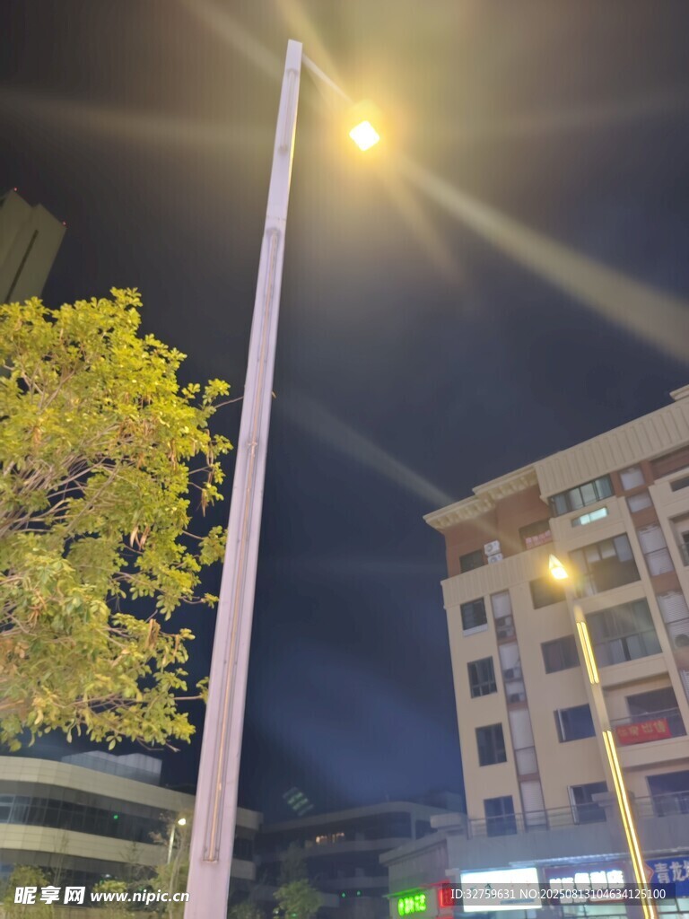 夜晚街景中的路灯与树木