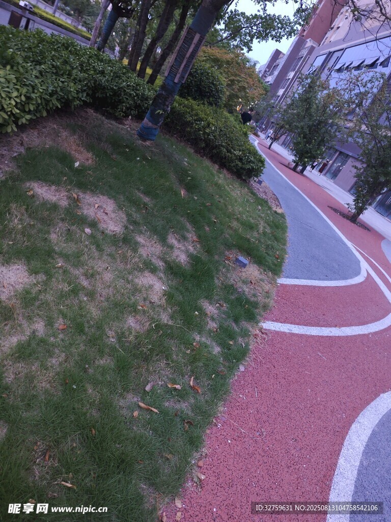 城市彩色步道与绿植景观