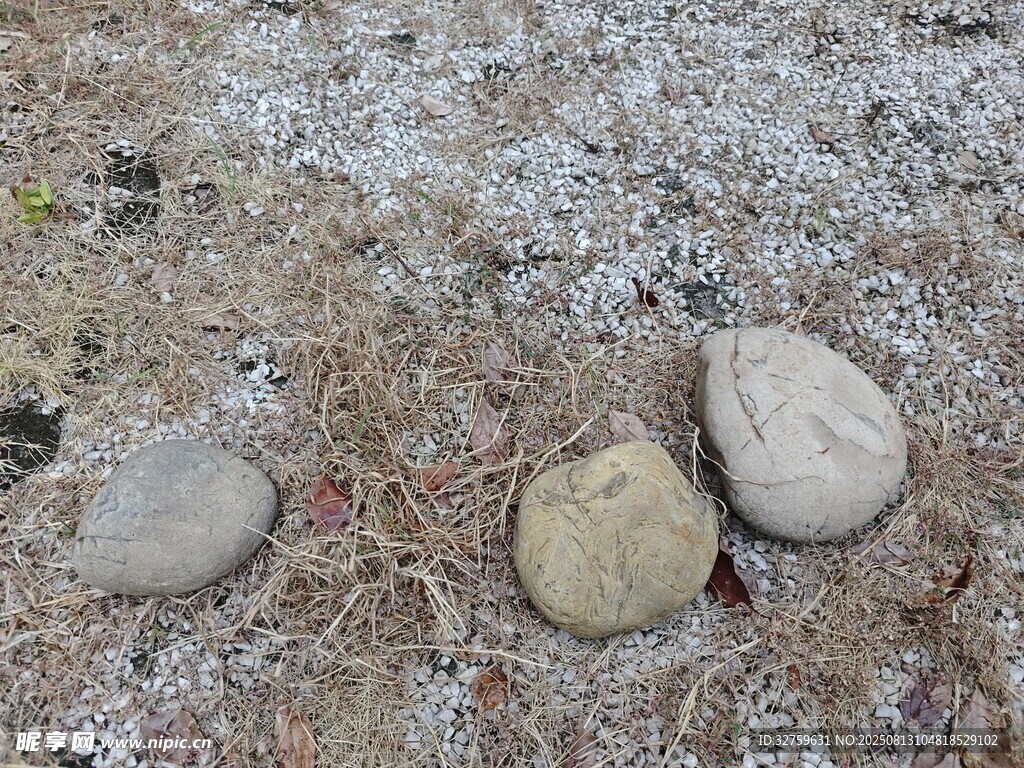 雪地中的几块石头