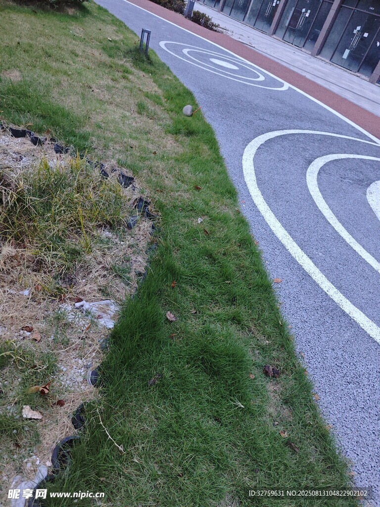 路边草地与道路标线景象