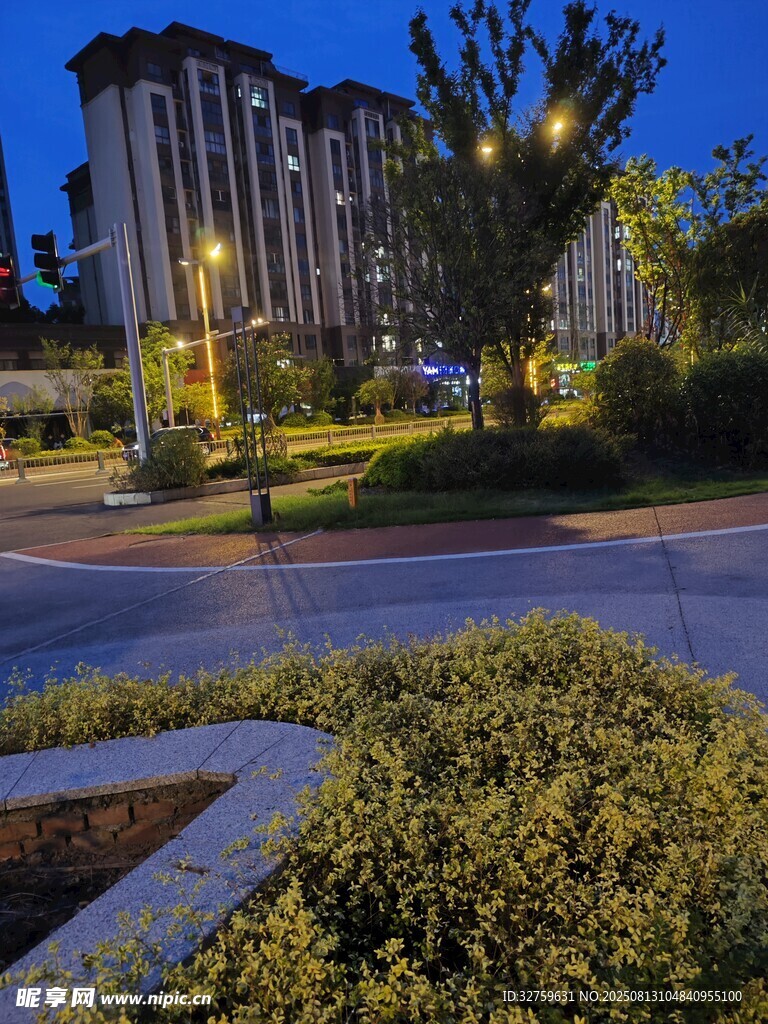 夜幕下的建筑与绿植景观