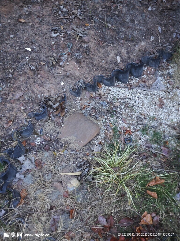 地面上的植物与杂物痕迹